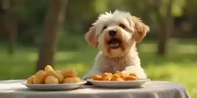 Alimentación cruda vs comida procesada para perros